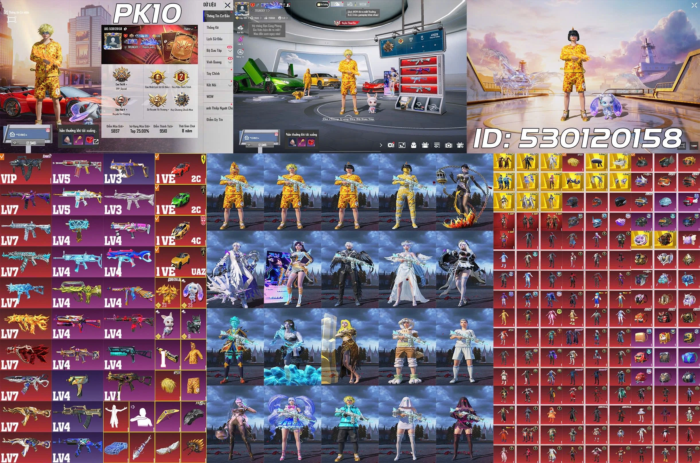 DTXW780D217B