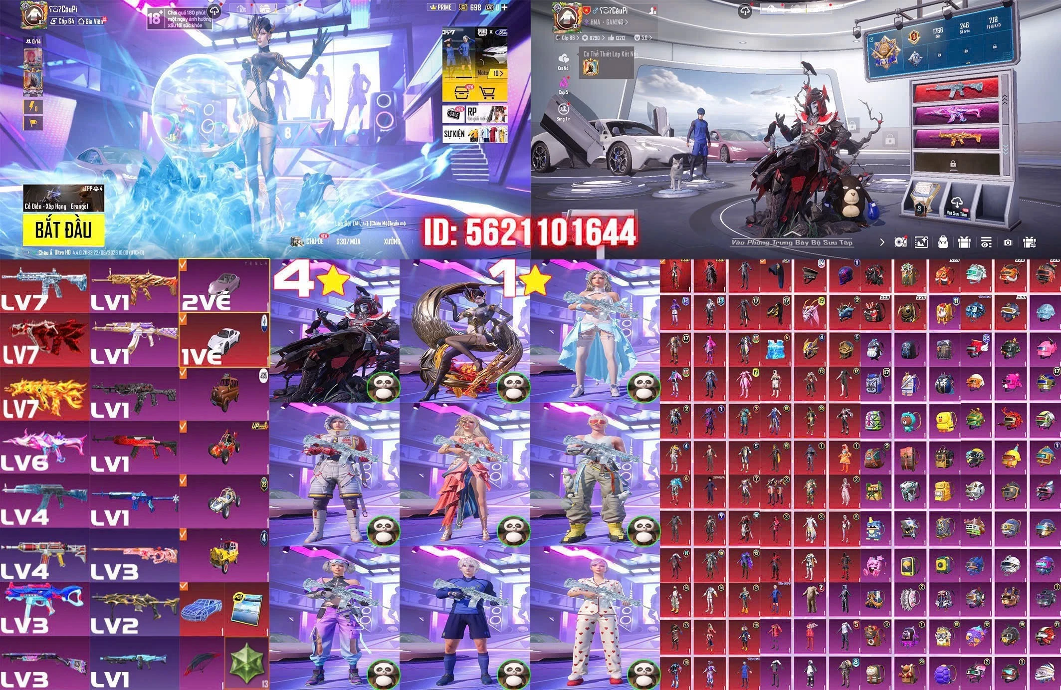 PVTE2141771