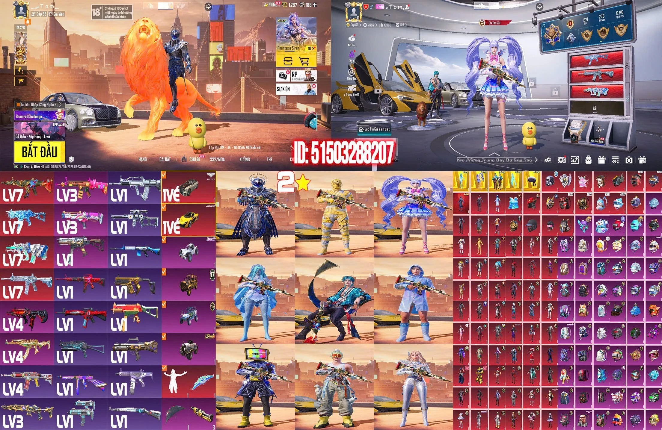 PVTF7B46D5D