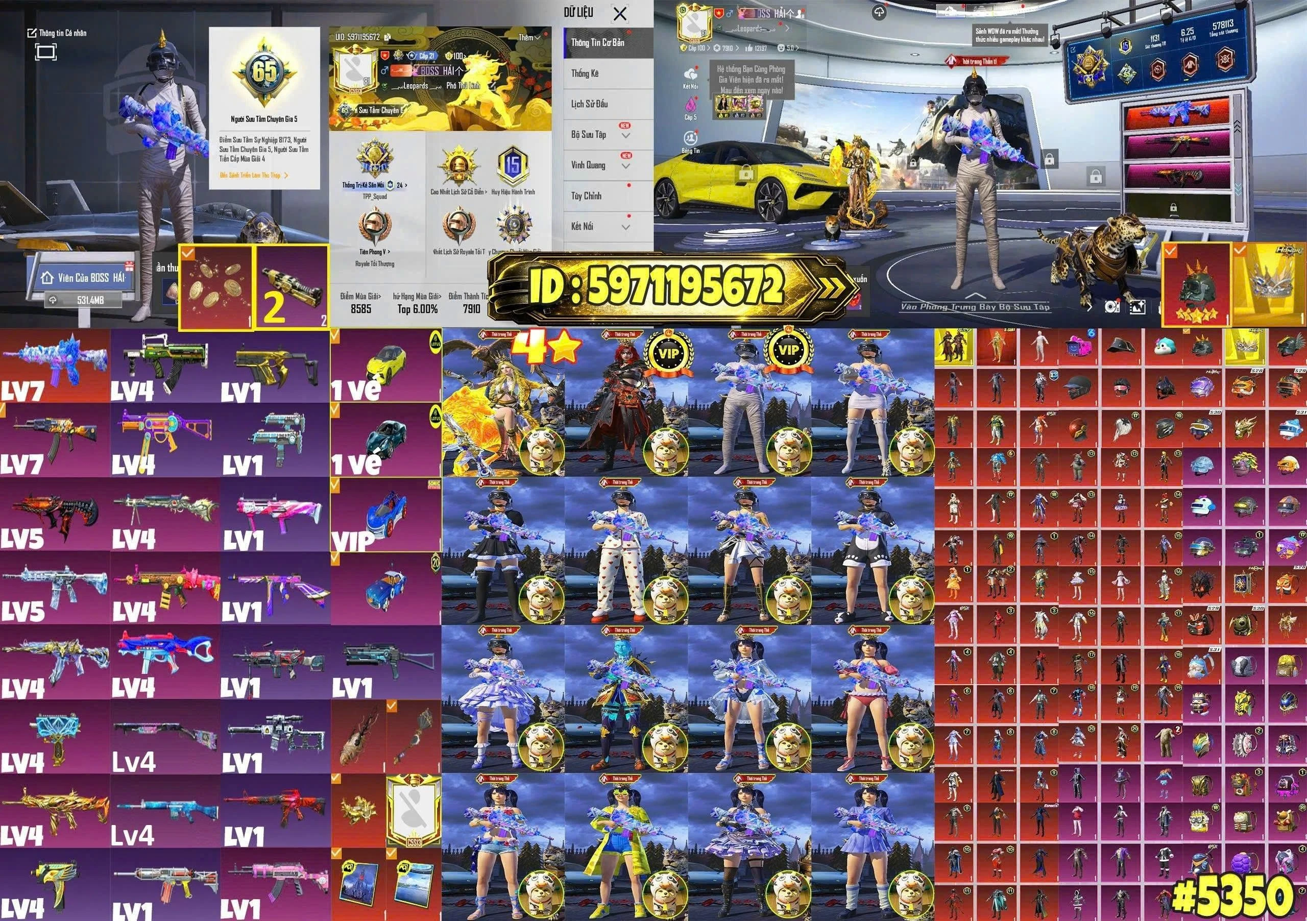 HSI979B22FC