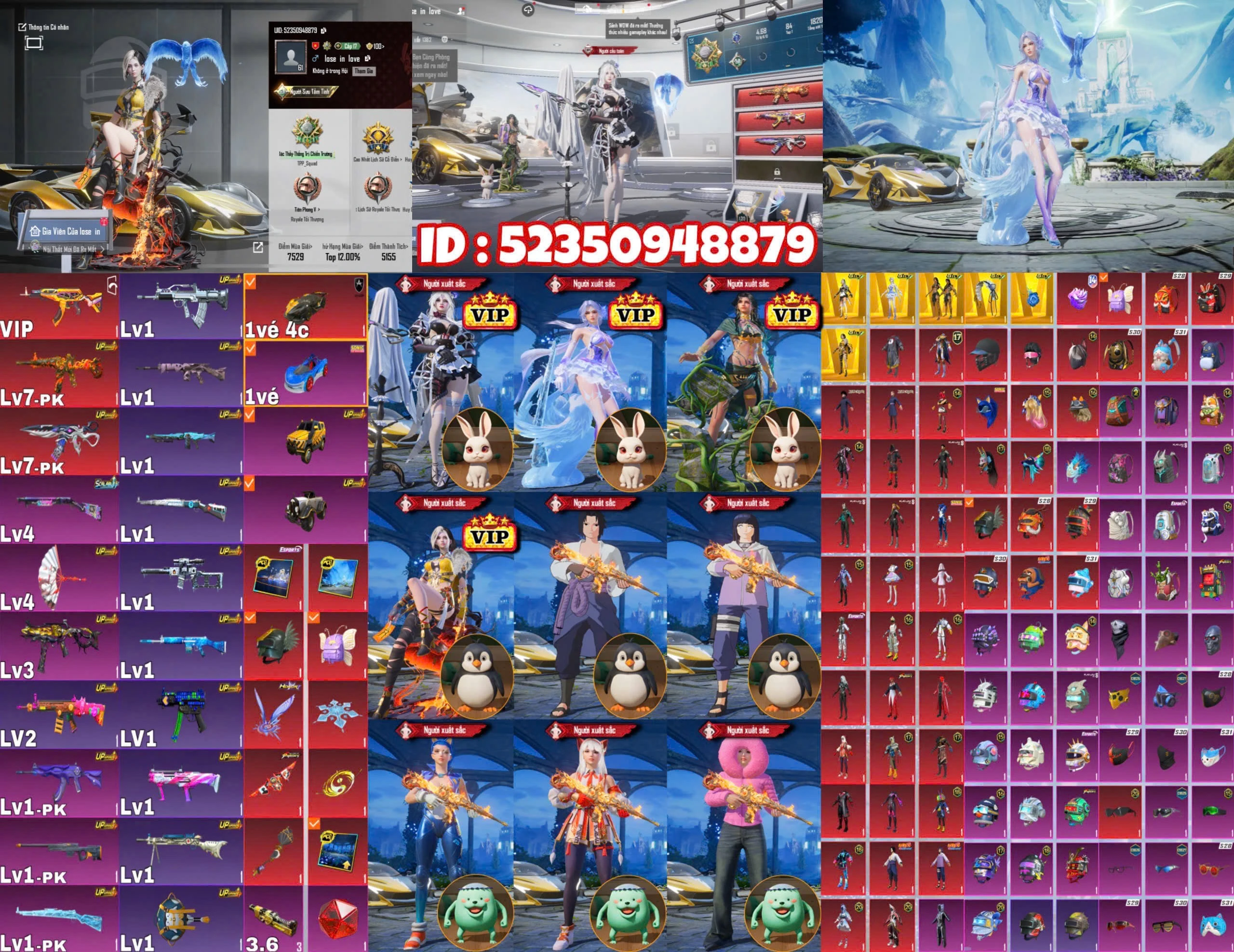 TGLG6102558F