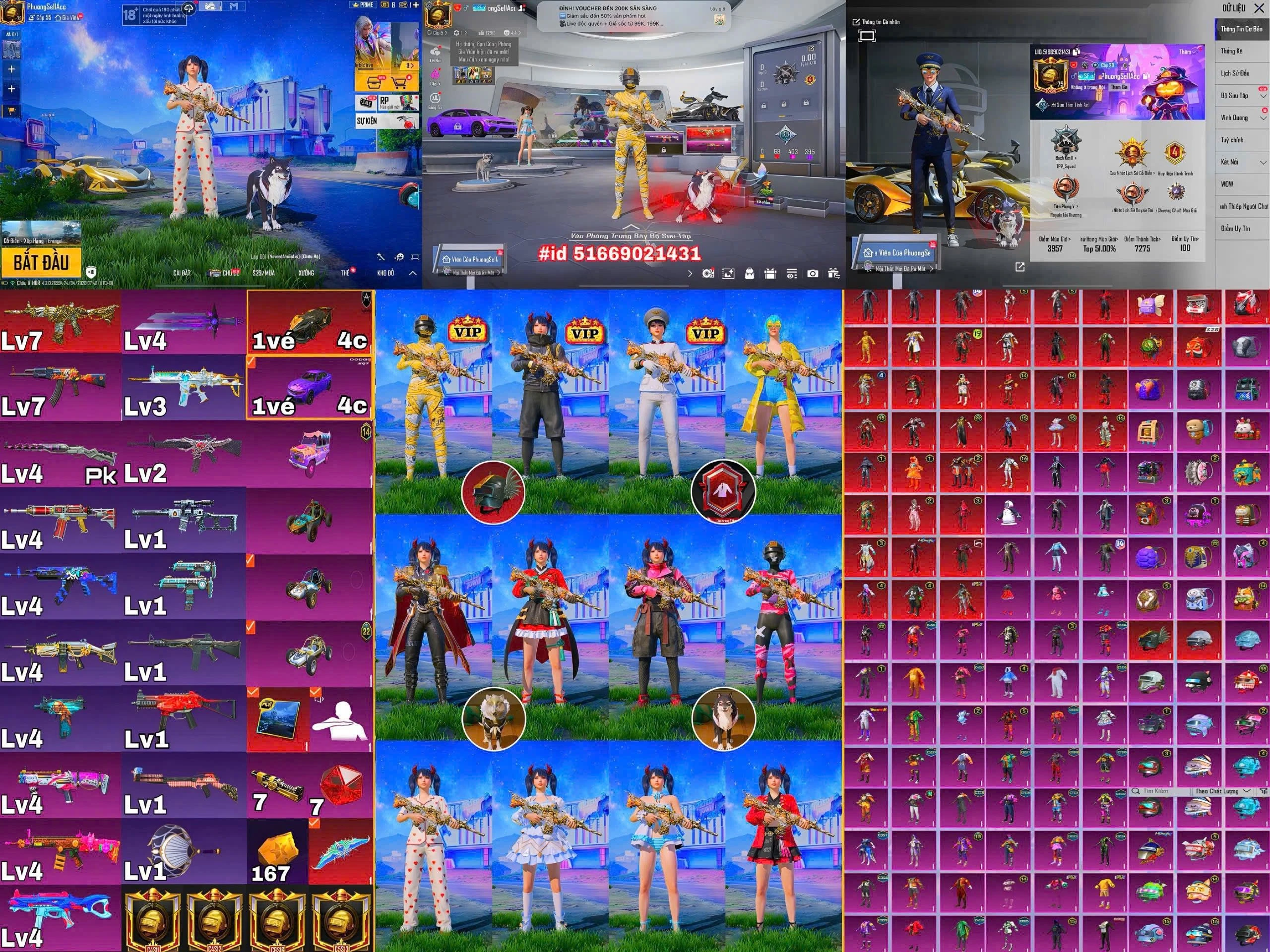TNTN6A9600DF